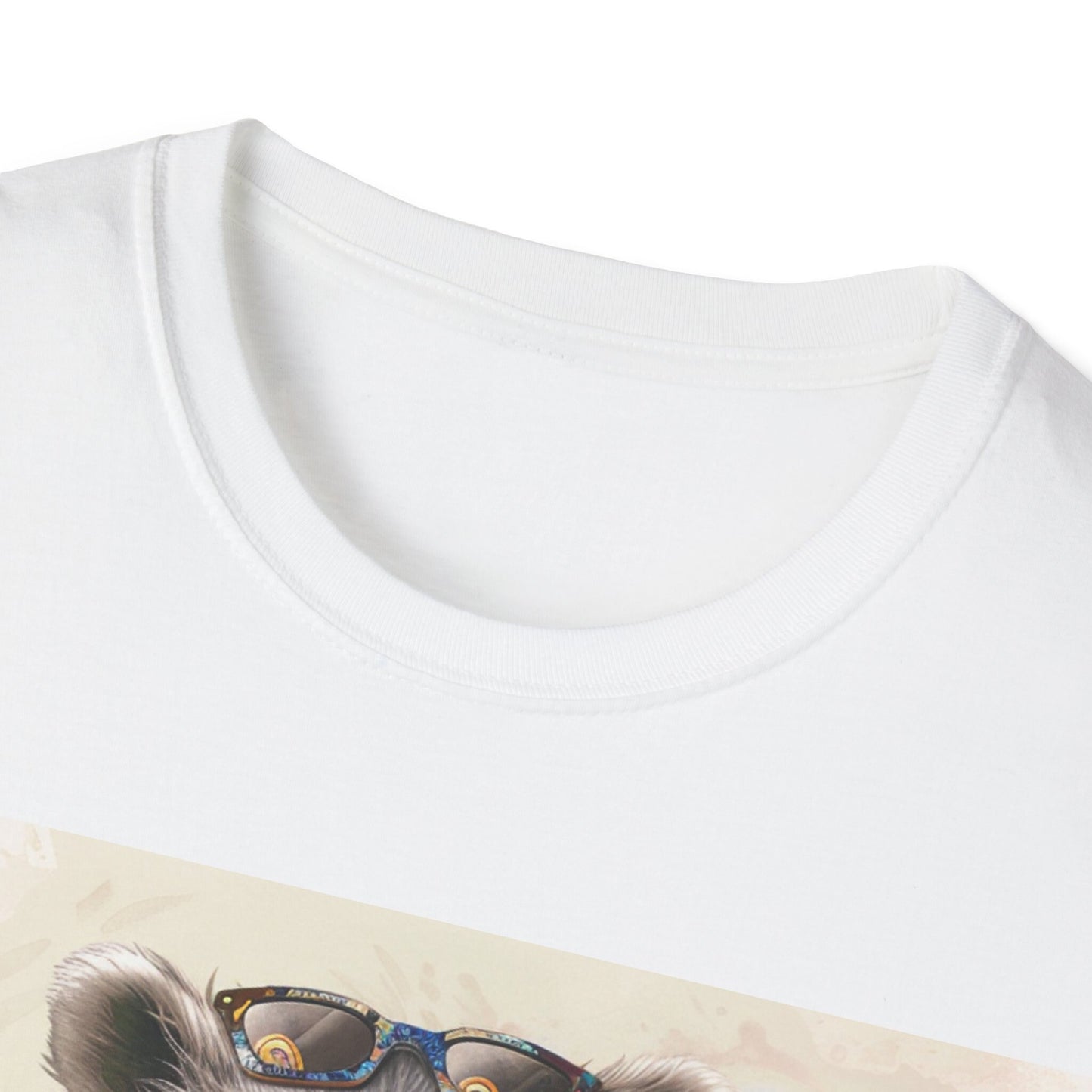 Groovy Raccoon Unisex Softstyle T-Shirt