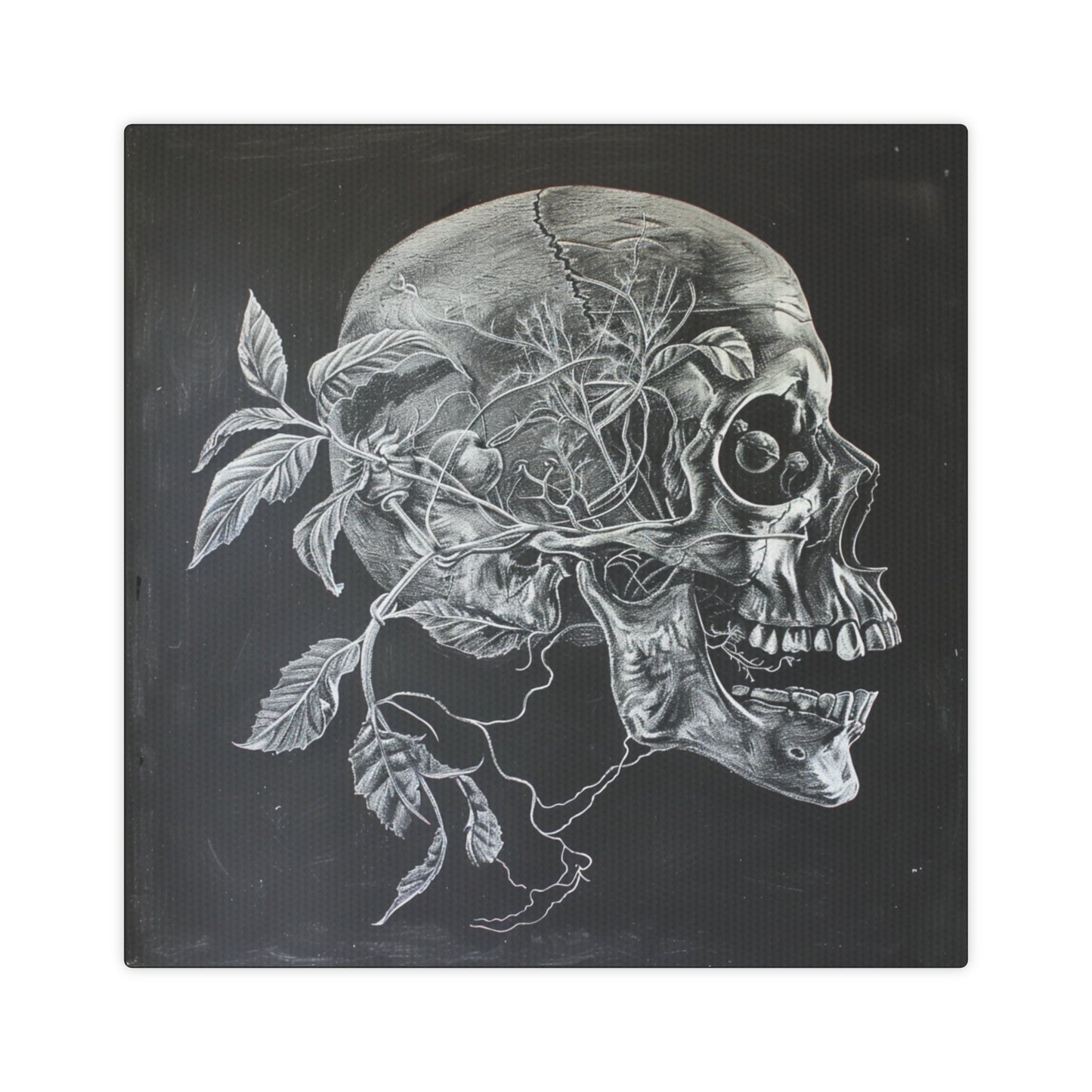 Nature Wins Canvas Photo Tile - Skull and Plant